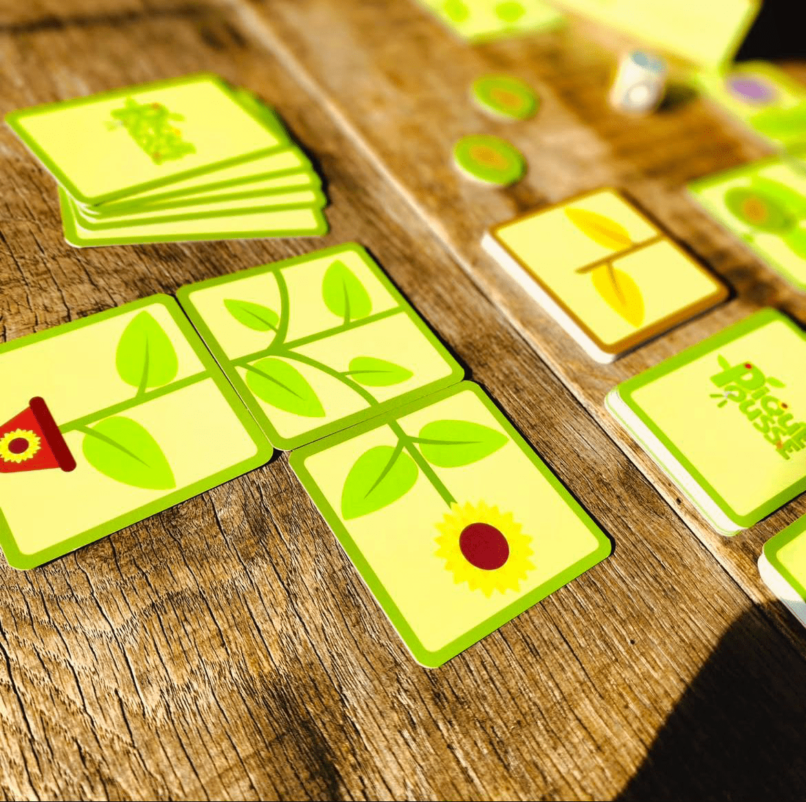 crédit photo : @ariaflore crédit photo : @ariaflore